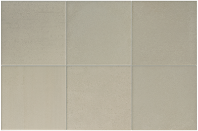  EQUIPE HIKARI Evergreen 10x10 