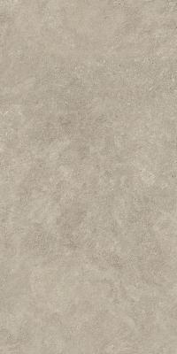 Oyster 60x120 20mm