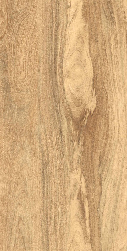 GRESANT 60x120 MATT+CARVING 60*120 TAIGA LIGHT MATT+CARVING IT (ППх) 60x120, артикул ITL84095 — gra-nit.ru