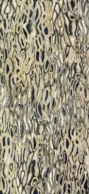  IMOLA THE ROOM GHEPARD6 260LP 120x260 