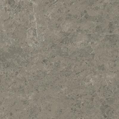 Grigio Elegante 120x120 Lapp.