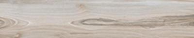 DUST RET 200x1000