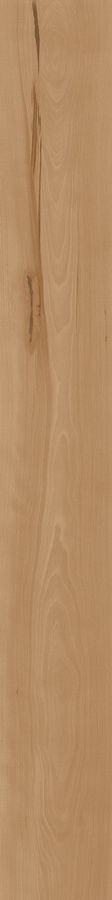  ATLAS CONCORDE LOG CANSEI Fenice 18,5x150 
