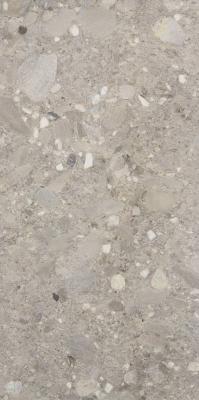  CIR SERENISSIMA CEPPO DI GRÈS Ceppo di Gres Grigio Rett 60х120 