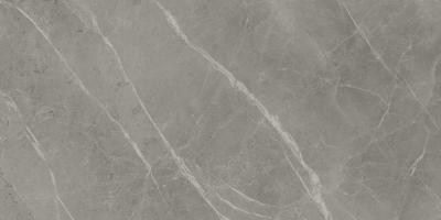 Grey Fleury 60x120 Lappato