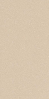  LEONARDO ICON ICON ALMOND 36 30x60 