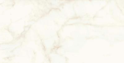 Calacatta Delicato 75x150 Lappato