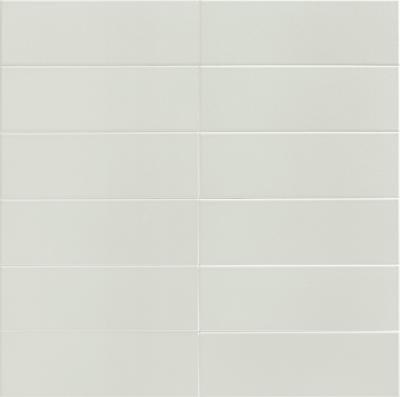  MAINZU JUNGLE Sky 10х30 