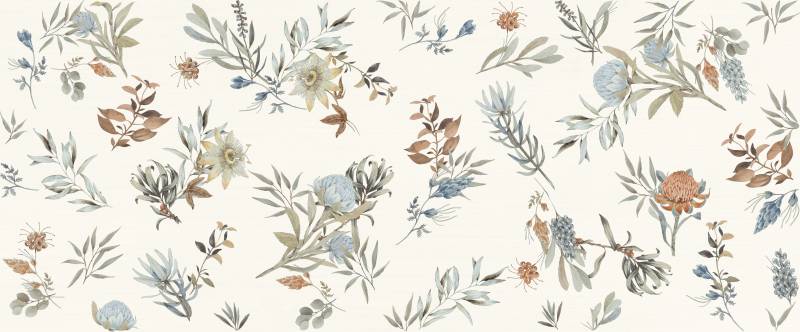  MARCA CORONA MIRABILIA Clorofilla 50x120 