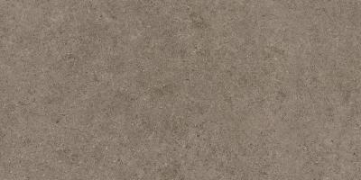 Taupe 60x120 A6Q6