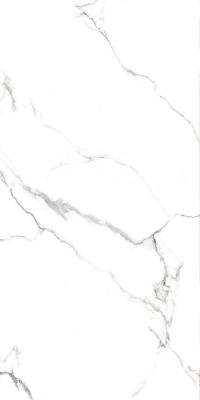  Absolut Gres STATUARIO Titan gloss 1200x600 