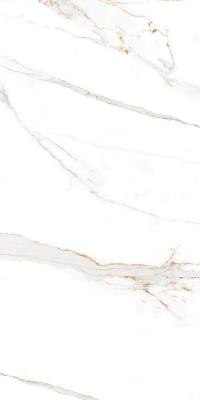 Carrara Gloss 1200x600