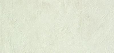 Напольная плитка ATLAS CONCORDE Evolve White 30x60 