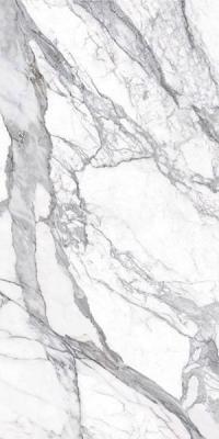 BIANCO LUNENSIS JW 12 NAT SQ 60x119.7x9