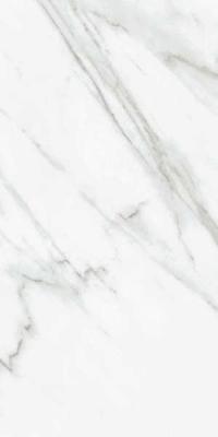 STATUARIO VENATO JW 14 LUC 60x119.7x9
