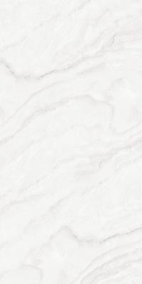  Absolut Gres SILVER ONIX Onix Gloss 1200x600 