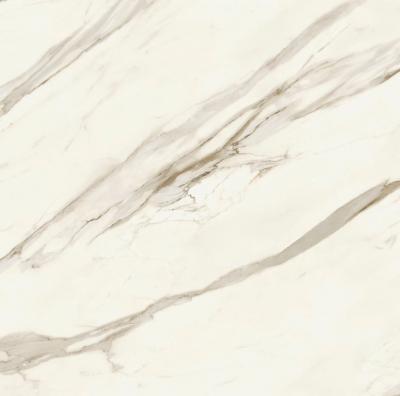 Calacatta Bernini 120x120 Velvet