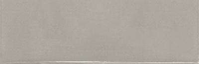 SILVER MIST 6,5x20