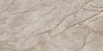  АТЛАС КОНКОРД EMPIRE Silver Root 60x120 