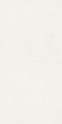  CERDOMUS COHESA Bianco Matt 60x120 RT 