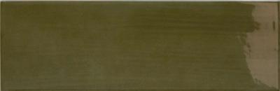  EQUIPE ISLAND LICHEN 6,5X20 