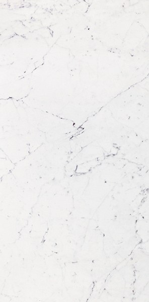  PORCELANOSA Bianco Pul 58.6x118.7 