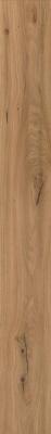  ATLAS CONCORDE LOG Deep Oak Forest 20x180 