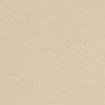  LEONARDO ICON ICON ALMOND 60 60x60 