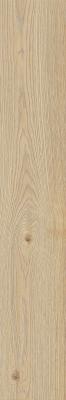  RAGNO SECRET Beige 20х120 RT 