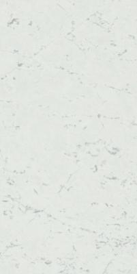 Carrara Pure 45x90 Lappato