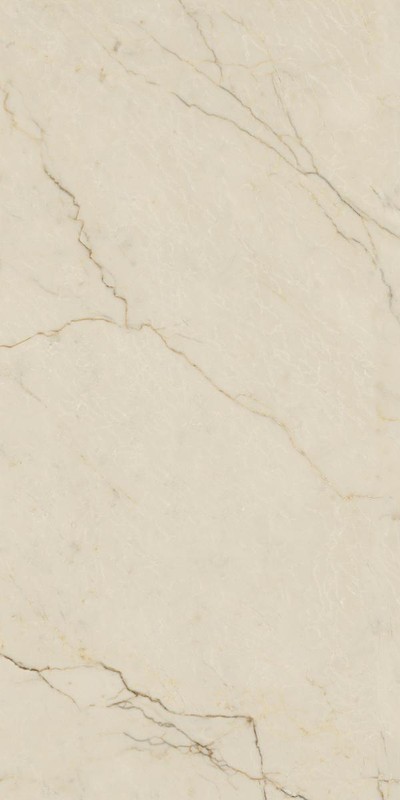 Керамогранит AVA CERAMICA MARMI SICILIANI Avorio Segesta матовая 60x120 273101