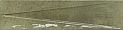  PERONDA HARMONY BARI GREEN DECOR 6x24,6 