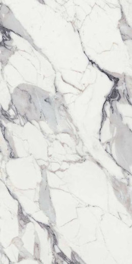  REX LES ORIGINES DE REX ARGENT MATTE 60X120 RETT 