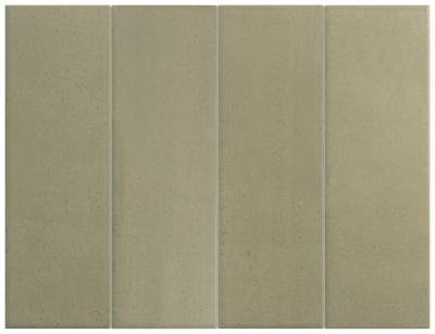 Sage 6X18,6