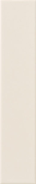 Керамическая плитка AVA CERAMICA UP Bone глянцевая 25x5 192074