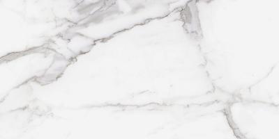  RAGNO INCANTO STATUARIO VENATO GL RT 60x120 