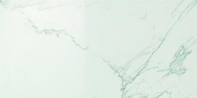 Calacatta Extra Lappato 30x60