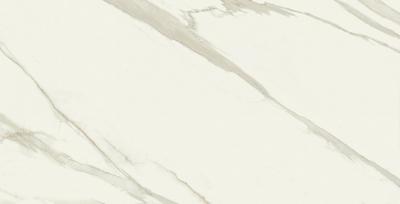 Calacatta Gold Nat 60x120