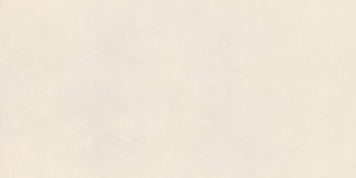  RAGNO DECORA Bianco Rett 60x120 