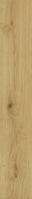  ATLAS CONCORDE EXENCE Almond 20x120 