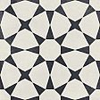 WHITE STAR 22,3 9