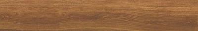 CIGAR AS 19,5x121,5/C/R