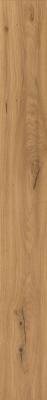  ATLAS CONCORDE LOG Amber Oak Forest 20x180 