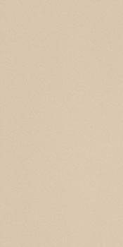 ICON ALMOND 12L 60x120