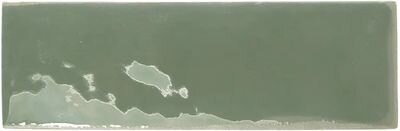 Напольная плитка WOW REBELS Керамогранит WOW REBELS MOSS GLOSS 5x15 129061 