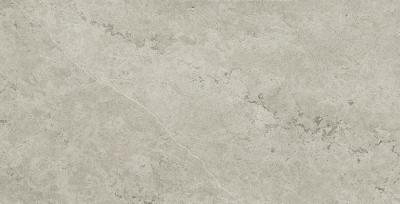Absolut Silver Nat 60x120