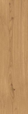  ATLAS CONCORDE LOG Amber Oak Forest 30x120 20mm 