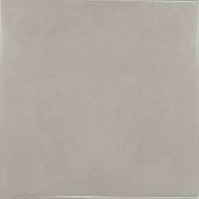 SILVER MIST 13,2x13,2
