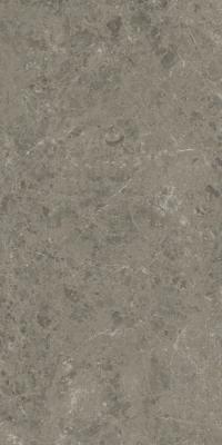 Grigio Elegante 60x120
