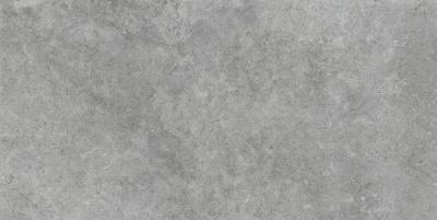  RAGNO RICHMOND Carbon Rett 60x120 
